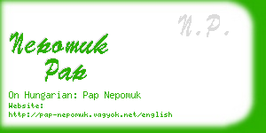 nepomuk pap business card